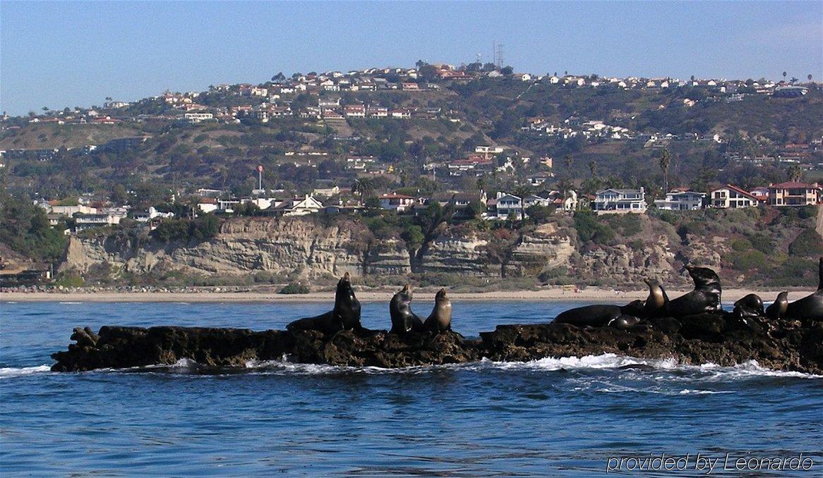 Holiday Inn Express San Clemente N - Beach Area By Ihg Kültér fotó